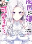 Rinkoku kara Kita Yome ga Kawaisugite Doushiyou